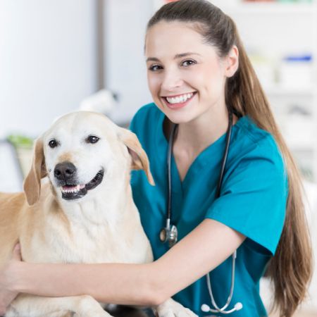 Picture for category VETERINARY