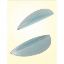 Picture of NEO LIFE ARCH SUPPORT (S)