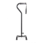 Picture of QUADRO CANE STICK